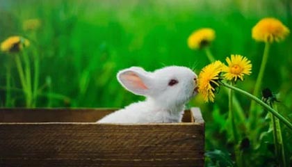 开云体育下载入口-摩纳哥后防线再添新分，球队稳扎稳打期待更上一层楼，摩纳哥球队是哪个国家