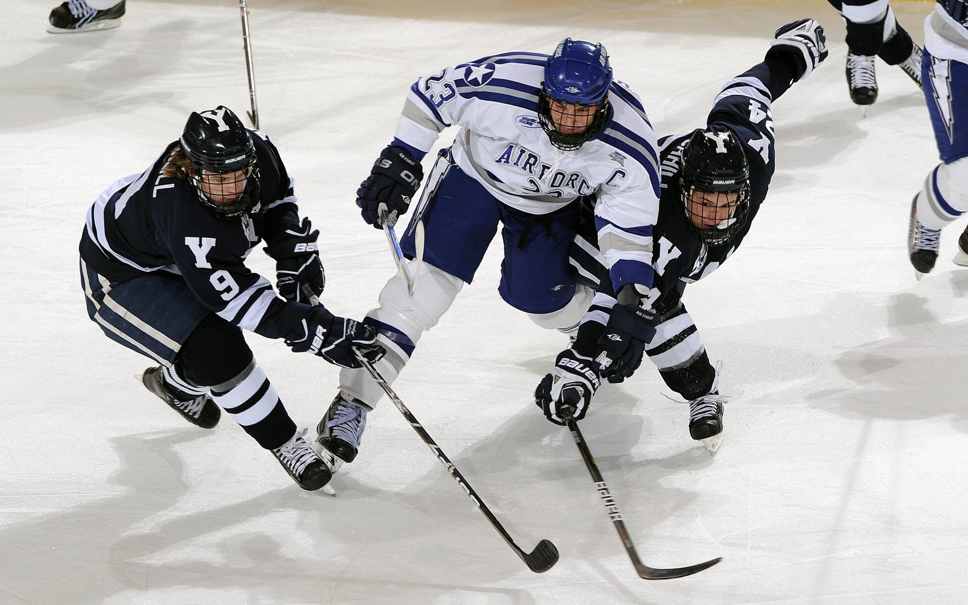 开云APP下载-墨尔本联季后赛资格稳固，墨尔本联队什么水平